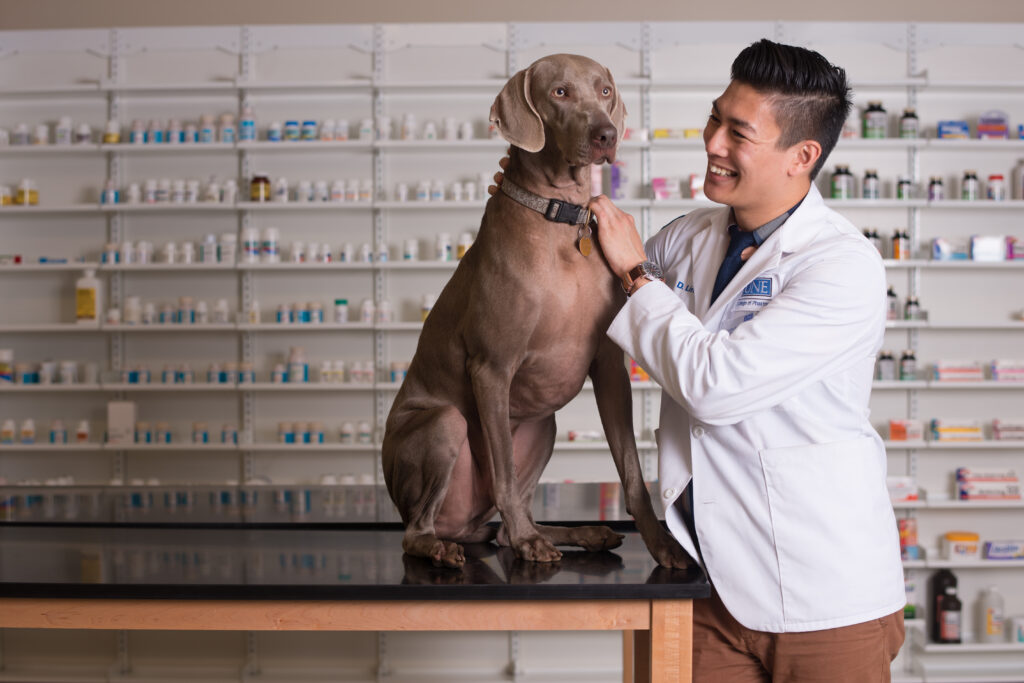 Veterinary Pharmacy & Pharmaceuticals